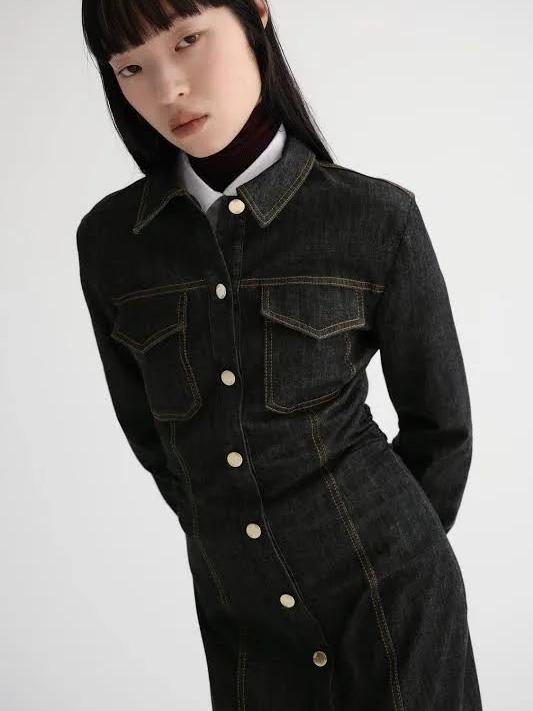 Denim Path Pockets Collared Dress