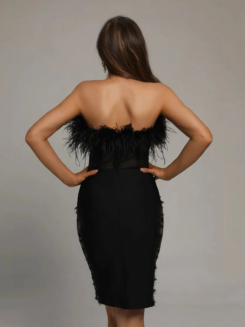 Feather Tube Bodycon Dress in black, strapless with feather trim and lace side panels.