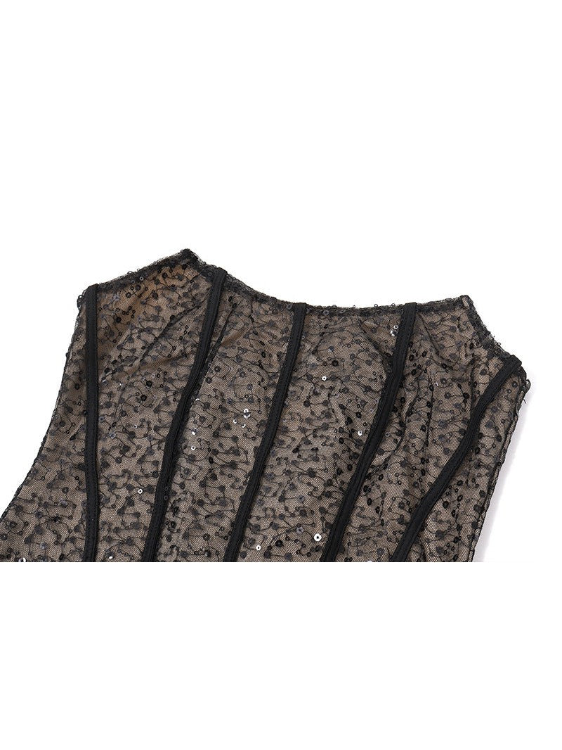 Sequins Boning Lace Fishnet Tube Ribbon Dress