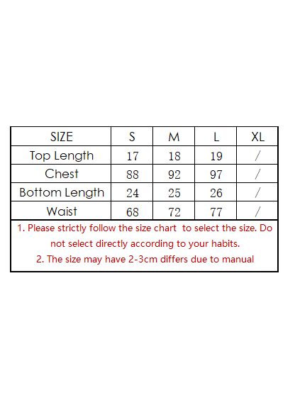 Denim Bikini Triangle Swimsuit Split Set