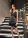 Black Tassel Sequins Feather Fur Dress