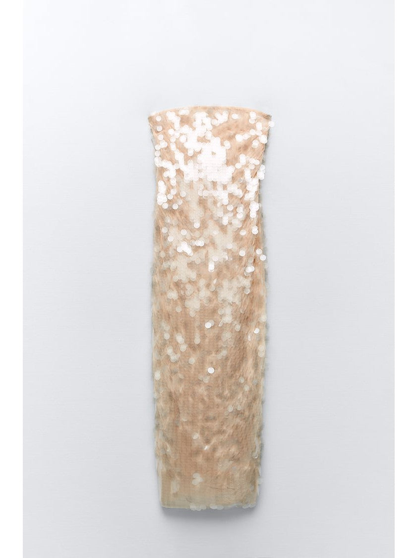 Strapless Coin Sequins Mash Tube Dress