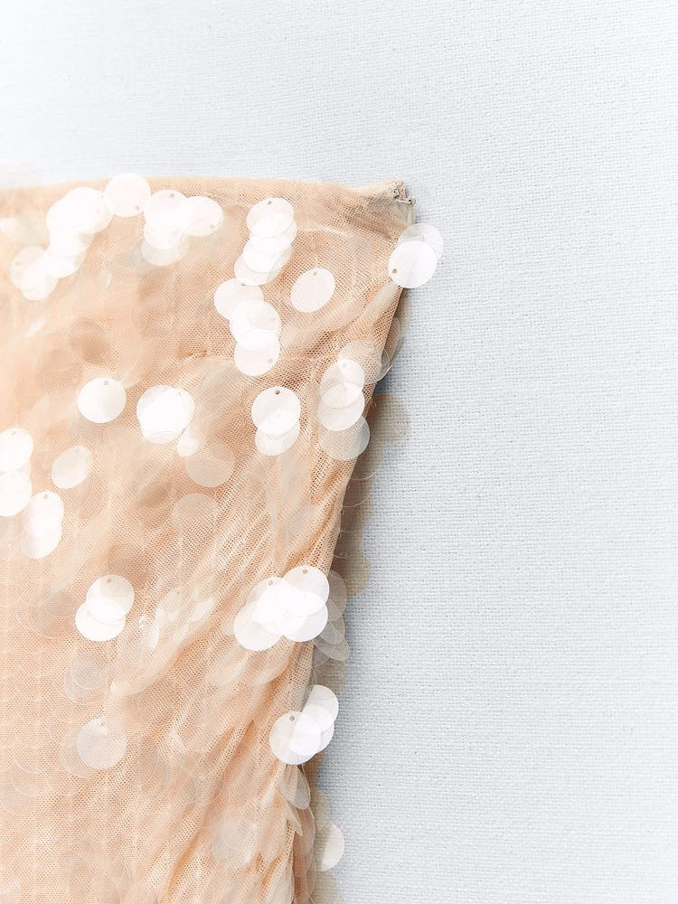 Strapless Coin Sequins Mash Tube Dress