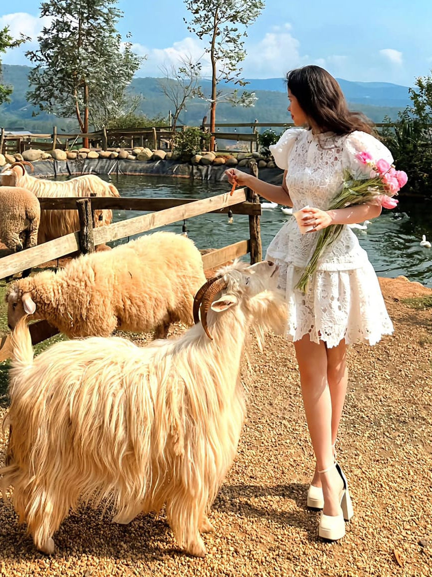 Irene Crochet Dress with Inner & Belt