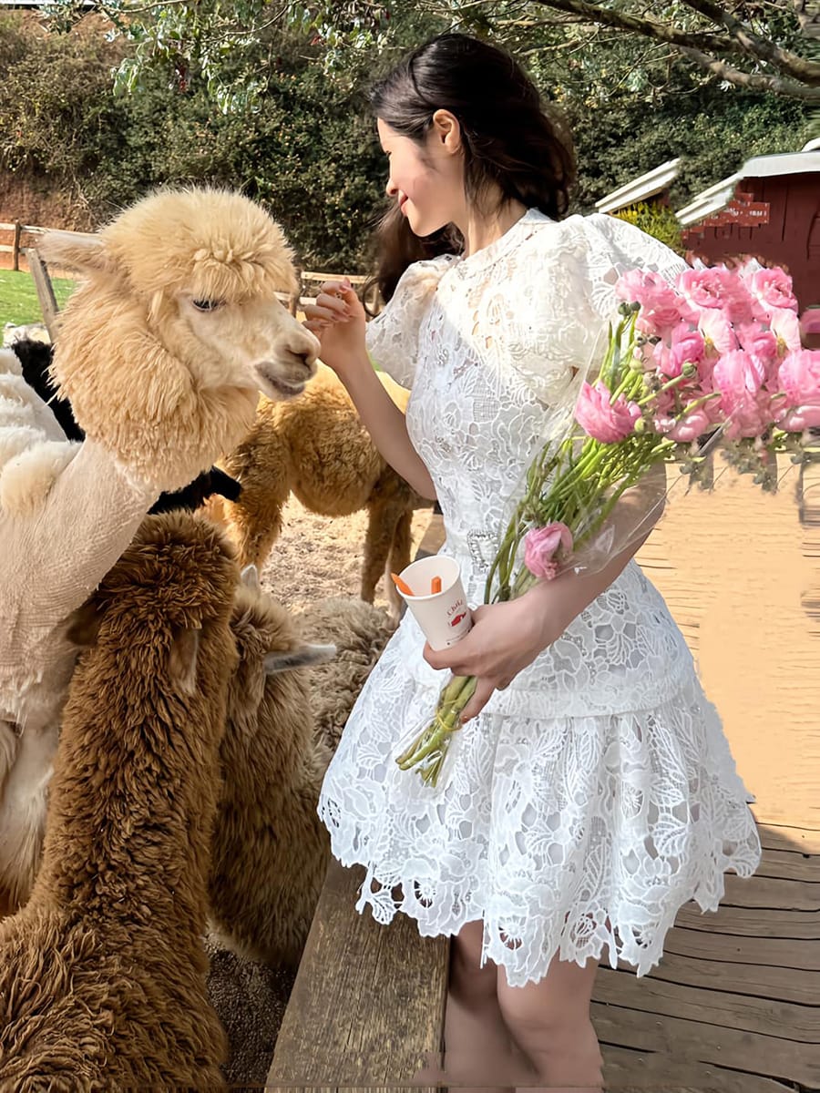 Irene Crochet Dress with Inner & Belt