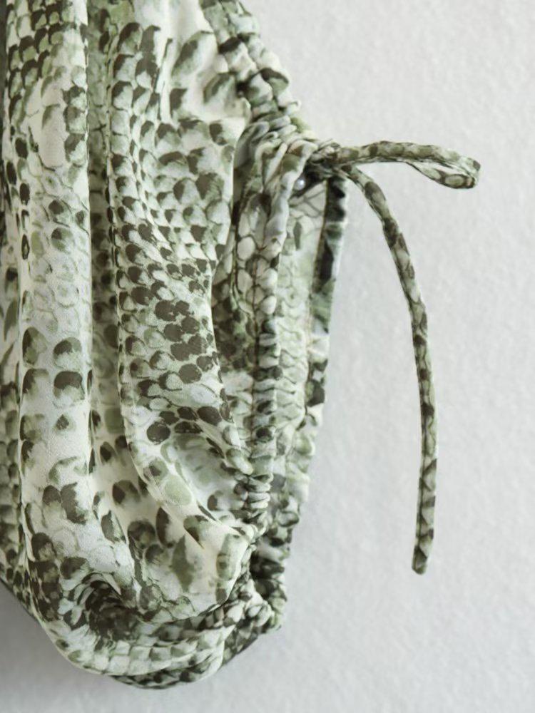 Spring Animal Print Pleated Mini Dress