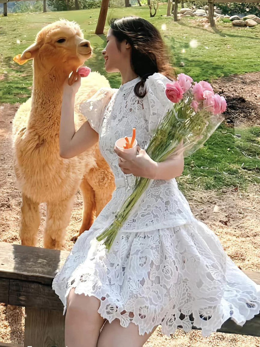 Irene Crochet Dress with Inner & Belt