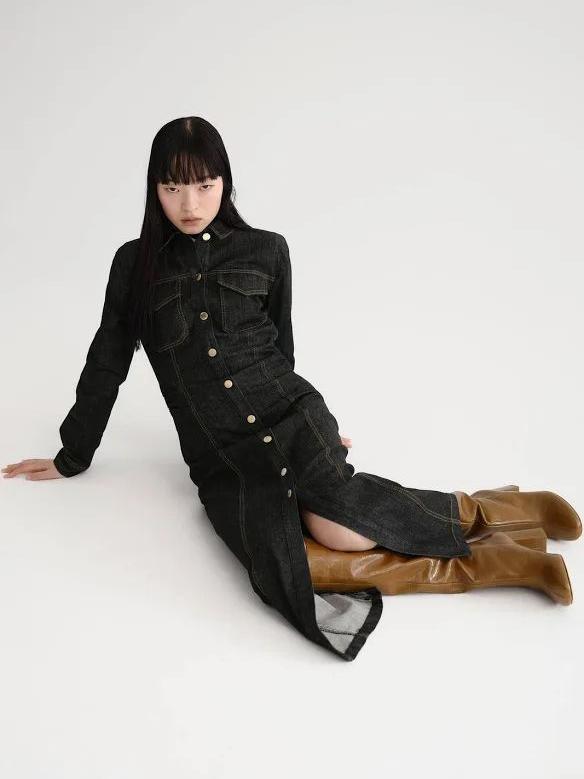 Denim Path Pockets Collared Dress