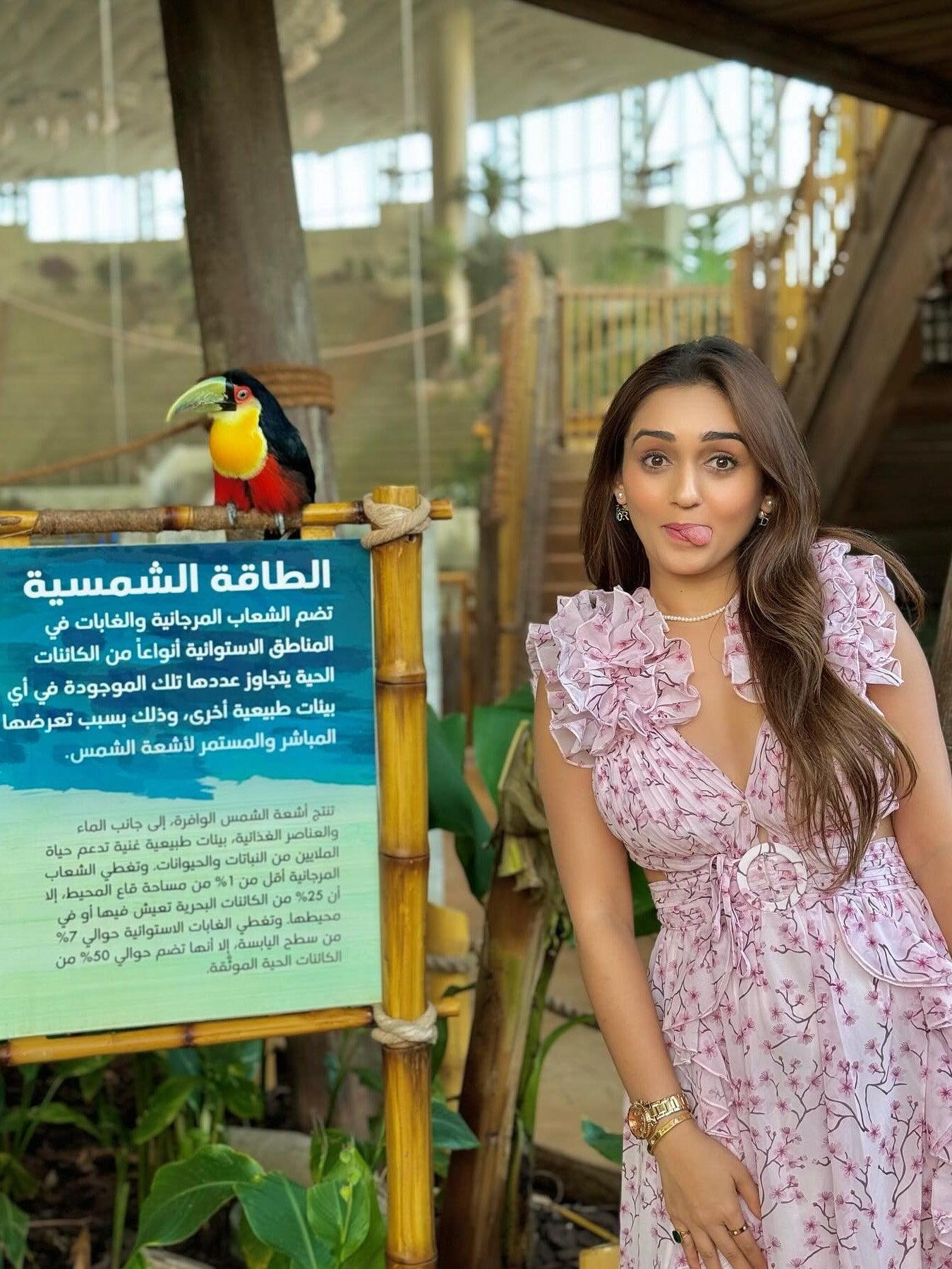 Floral Print Hollow Out Cutout Deep V Plunge Ruffled Backless Dress