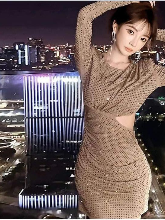 Rhinestone Mesh Studded Cutout Full Sleeves Dress