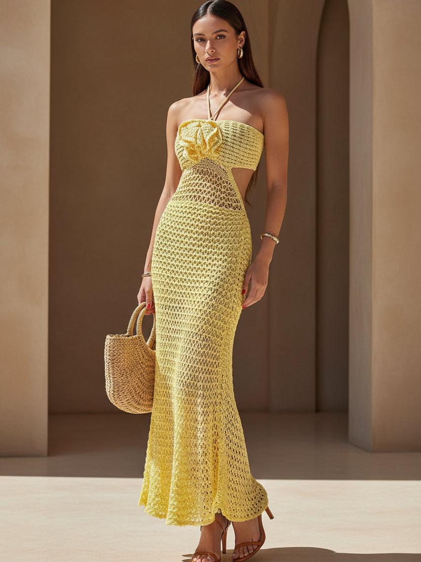 backless crochet dress Dalton Backless Crochet Maxi Dress