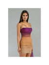 Ombre Tube Bodycon Ribbon Dress