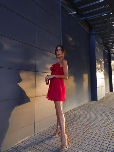 Pleated Short Red Tube Applique Dress