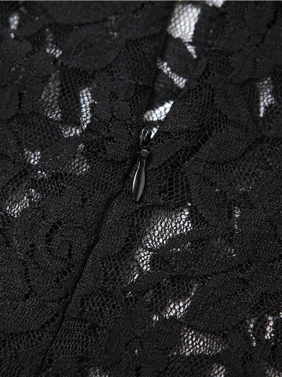 See through Lace Slim Maxi Dress