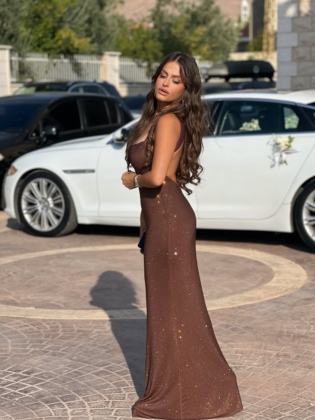 Scoop Neckline Backless Rhinestone Mesh Dress