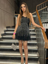 Black Tassel Sequins Feather Fur Dress