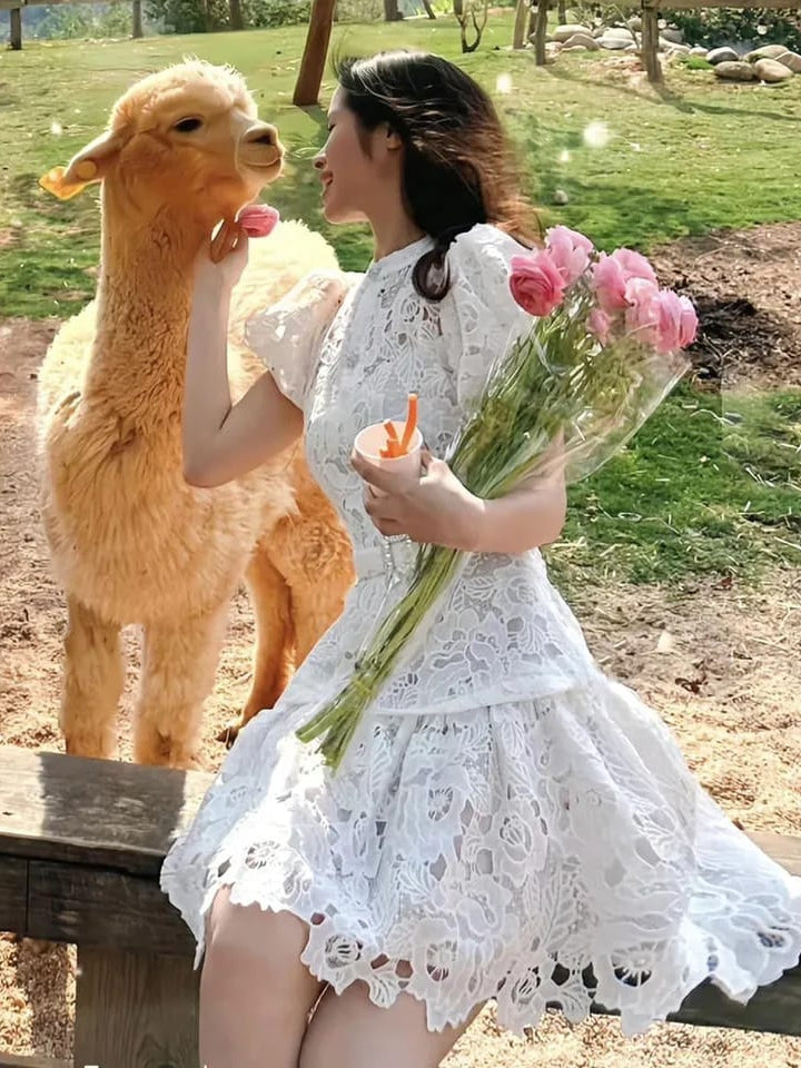 Irene Crochet Dress with Inner & Belt