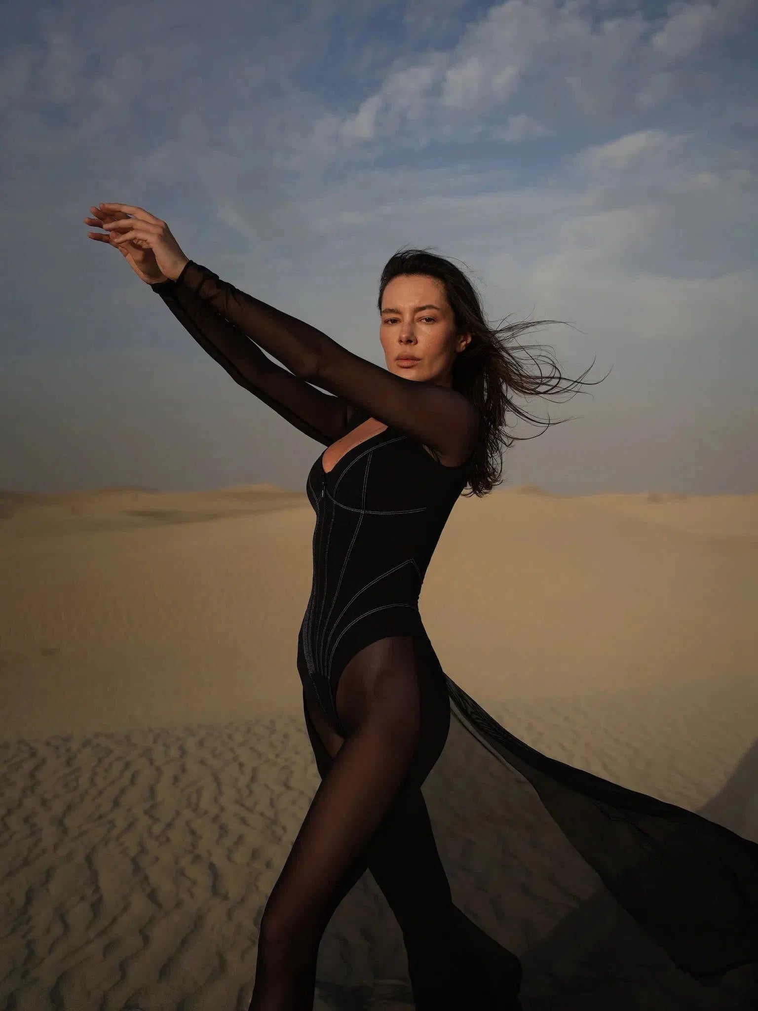 Mariam Full Sleeve Mesh See Through V Neck Jumpsuit