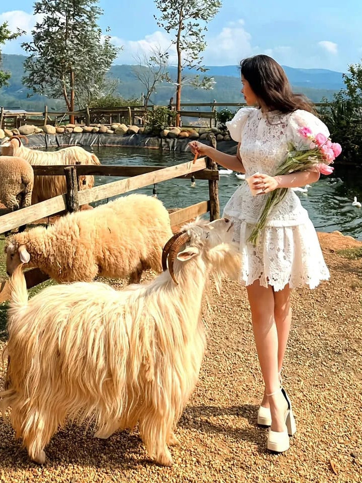 Irene Crochet Dress with Inner & Belt