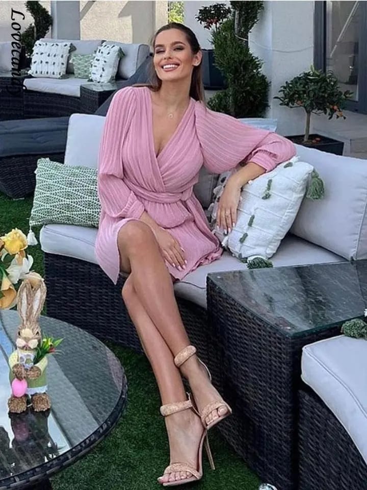 Lantern Sleeve Pleated A Line Dress