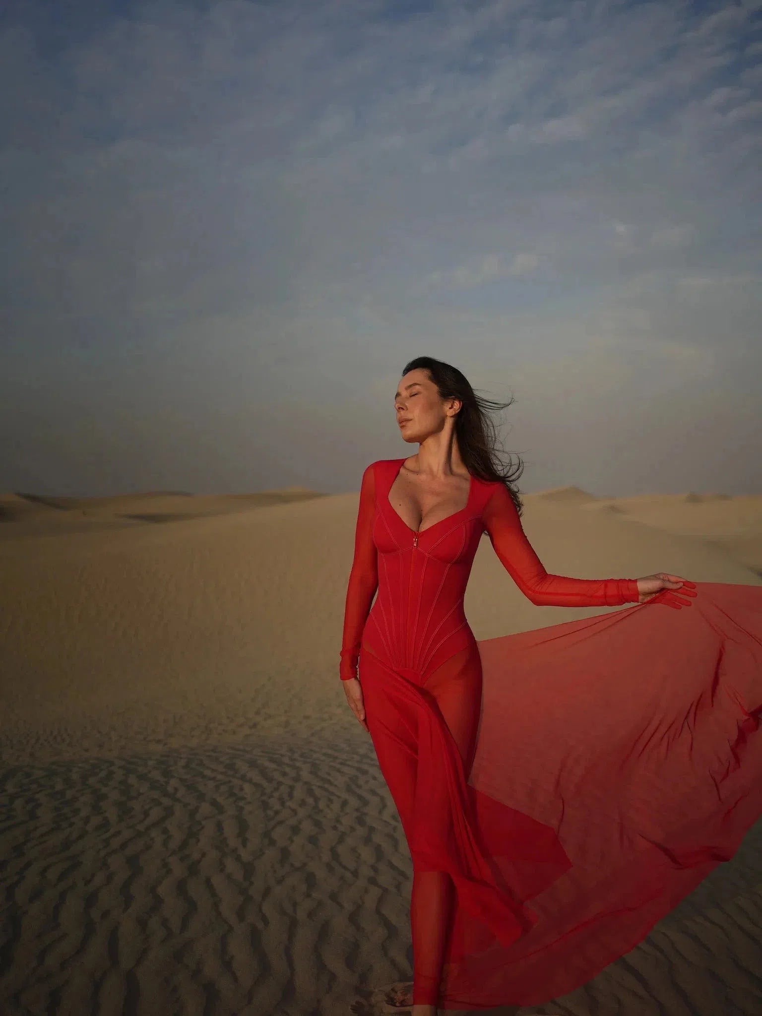 Mariam Full Sleeve Mesh See Through V Neck Jumpsuit