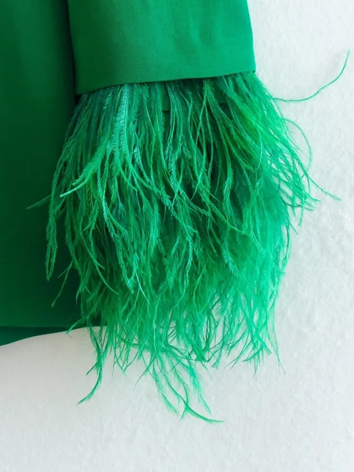 Feather Sleeves Blazer & Pants Coord Set