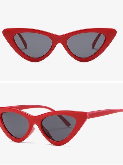 New Cat Eye Sunglasses